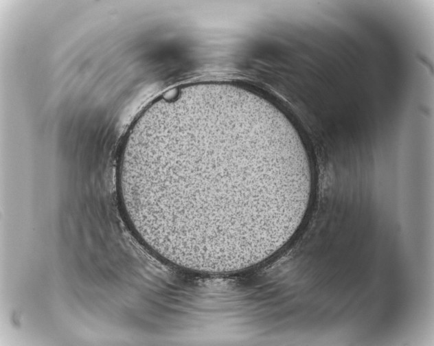 X0000103911459200810031201