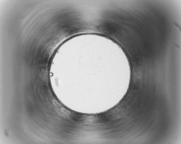 X0000103911460200810031201