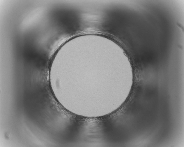 X0000103911461200810031201