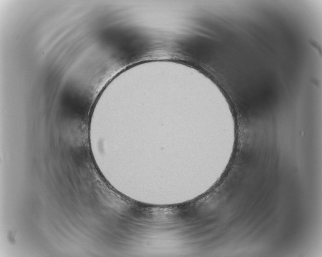 X0000103911465200810031201