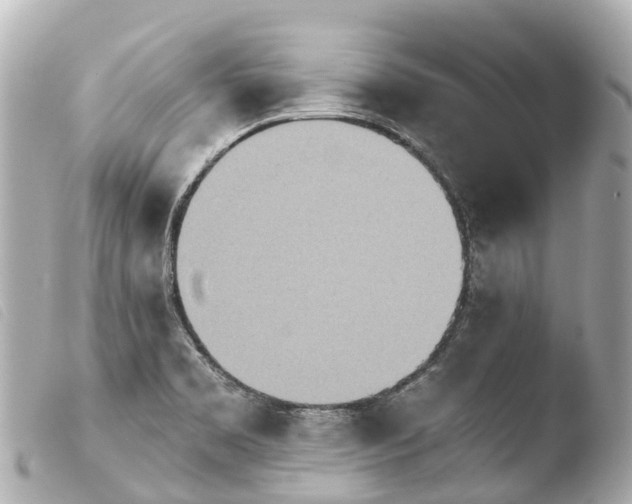 X0000103911469200810031201