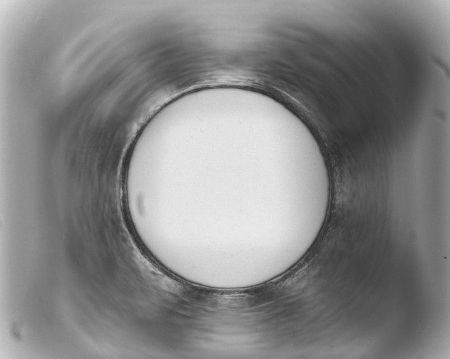 X0000103911471200810031201