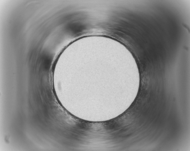 X0000103911472200810031201