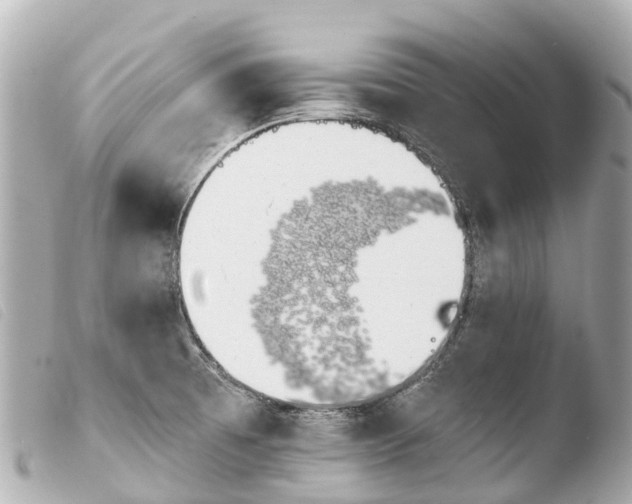 X0000103911473200810031201