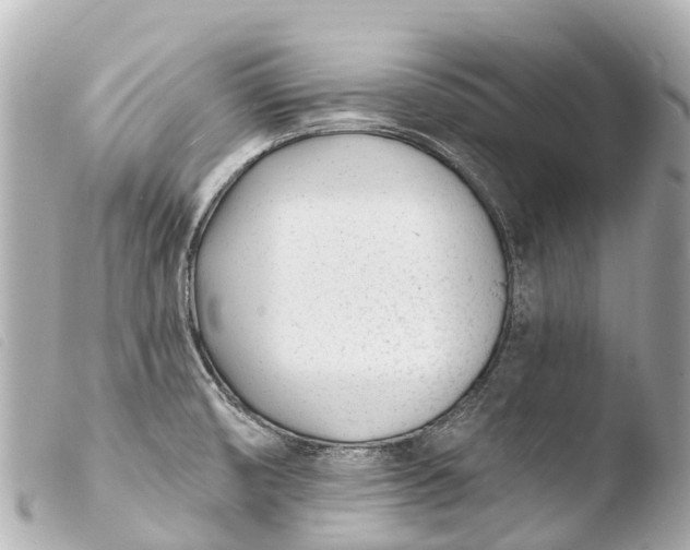 X0000103911474200810031201