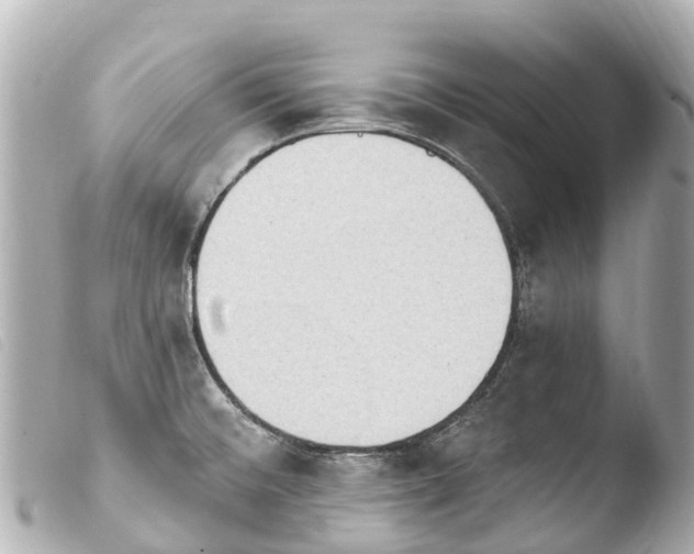X0000103911476200810031201
