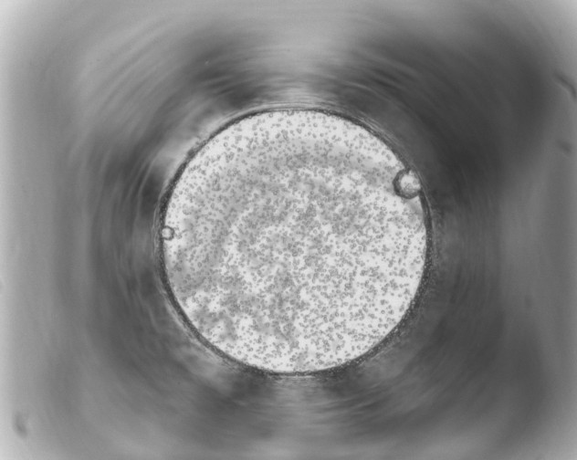 X0000103911477200810031201