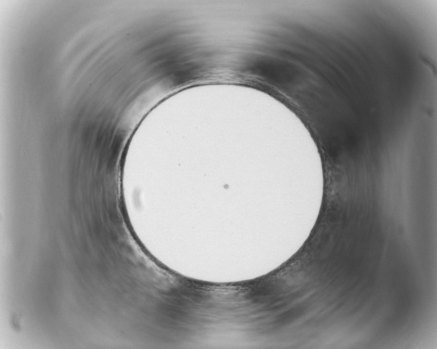 X0000103911479200810031201