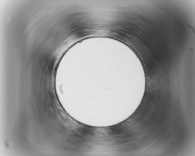 X0000103911480200810031201