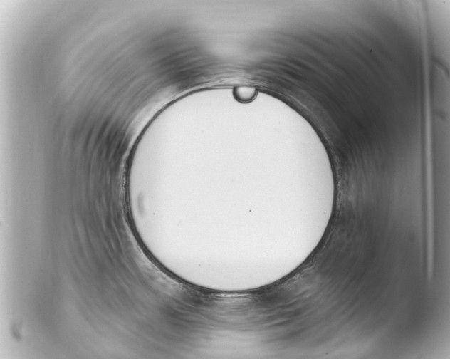 X0000103911483200810031201