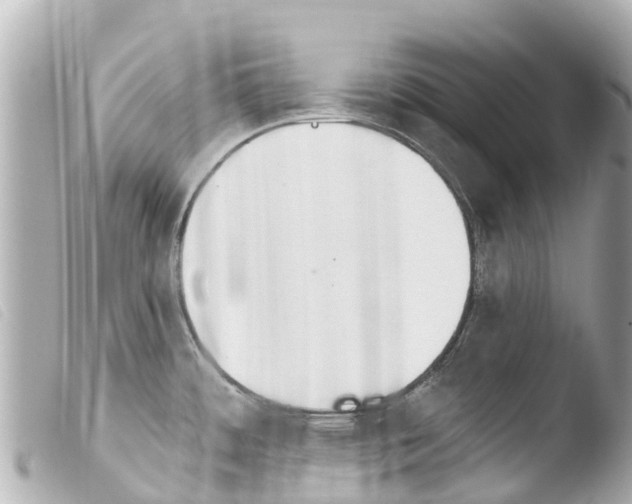 X0000103911484200810031201