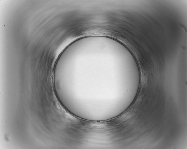 X0000103911486200810031201