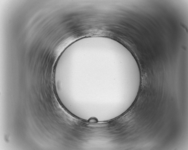 X0000103911487200810031201