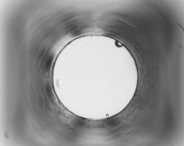X0000103911488200810031201