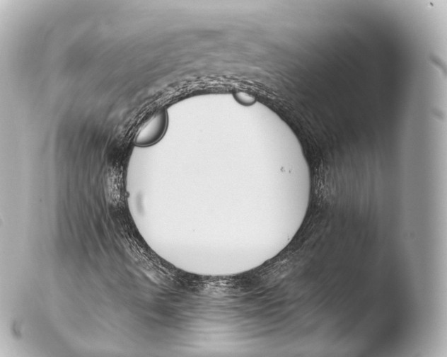 X0000103911490200810031200