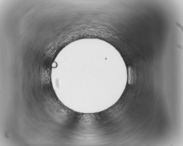 X0000103911491200810031200