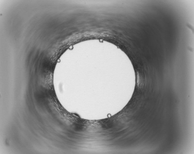 X0000103911492200810031200