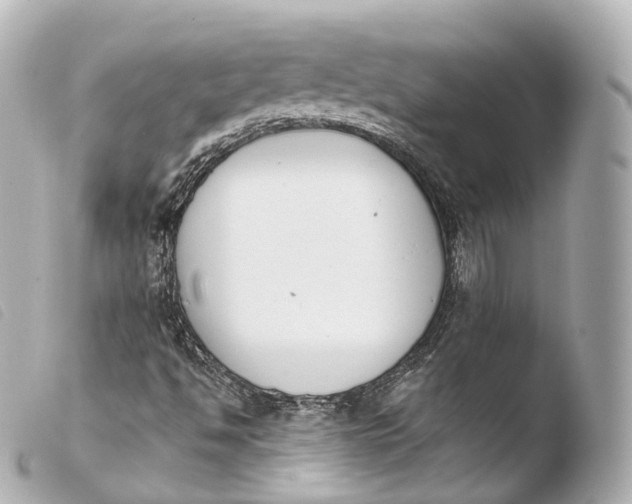X0000103911494200810031200