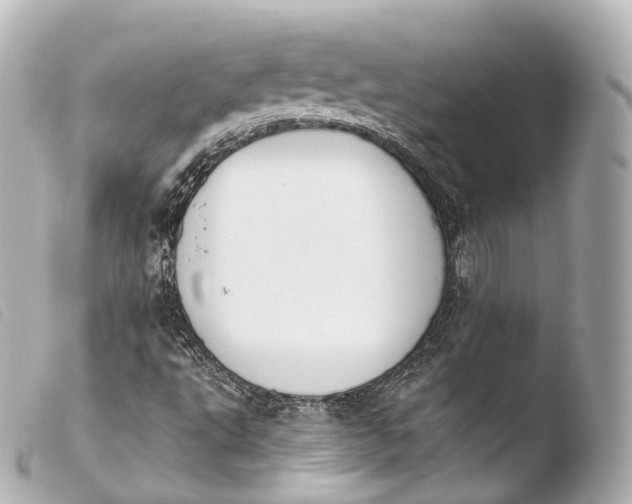 X0000103911495200810031200
