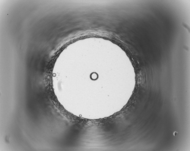 X0000103911496200810031200