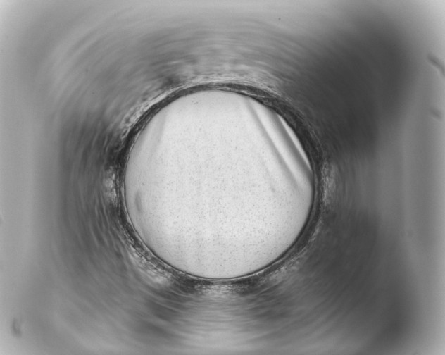 X0000103911497200810031200