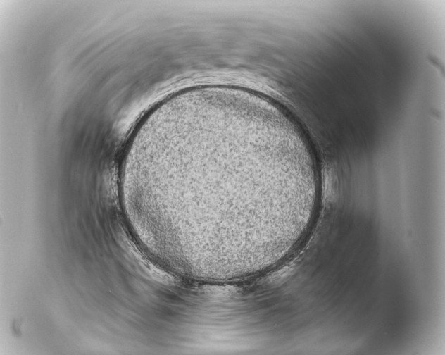 X0000103911498200810031200