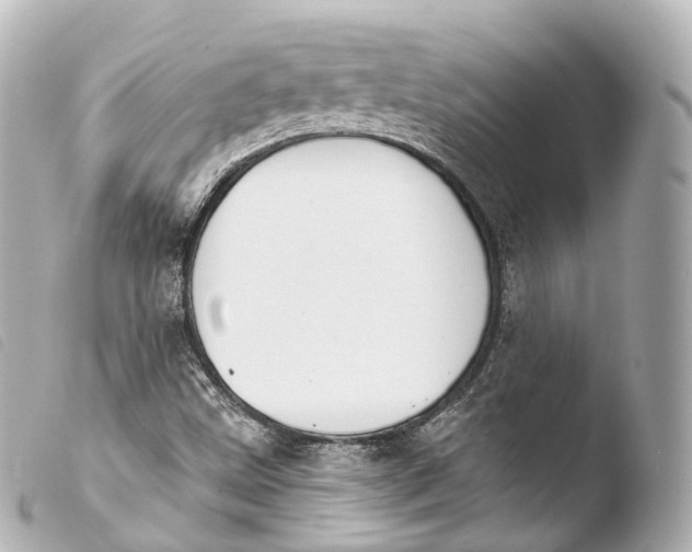 X0000103911499200810031200