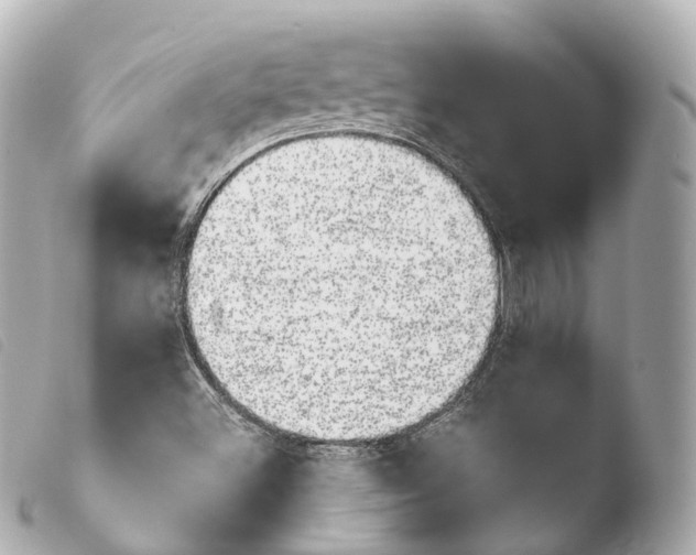 X0000103911500200810031200