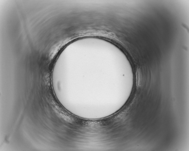 X0000103911501200810031200