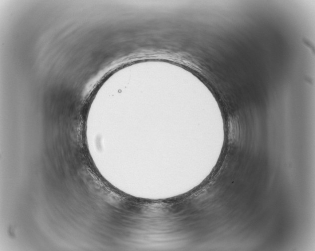 X0000103911502200810031200
