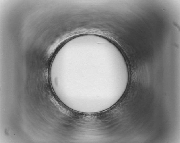 X0000103911503200810031200