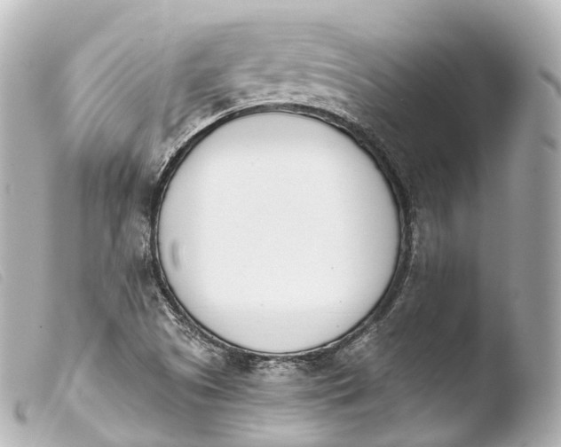 X0000103911505200810031200