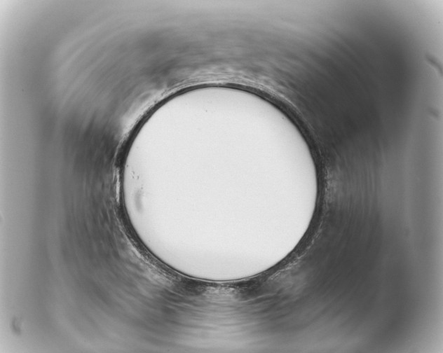 X0000103911509200810031200