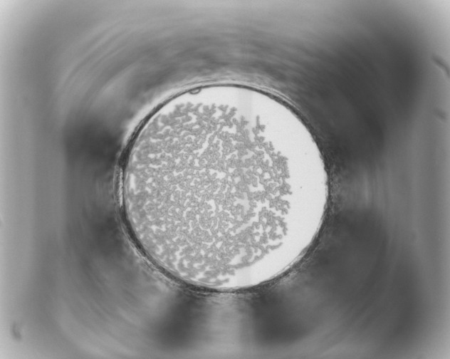 X0000103911510200810031200