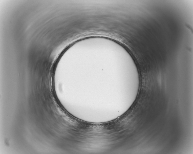 X0000103911511200810031201