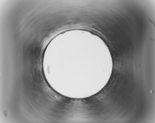X0000103911512200810031201