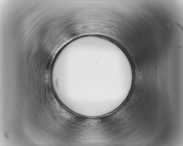X0000103911513200810031201