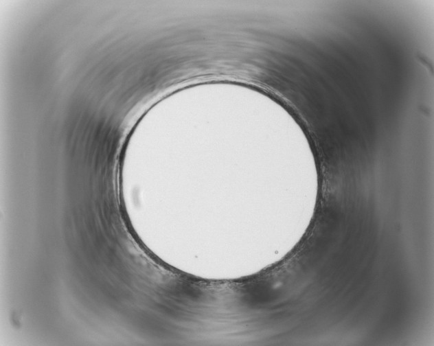 X0000103911516200810031201
