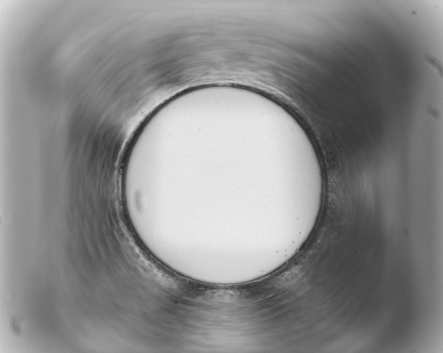 X0000103911517200810031201