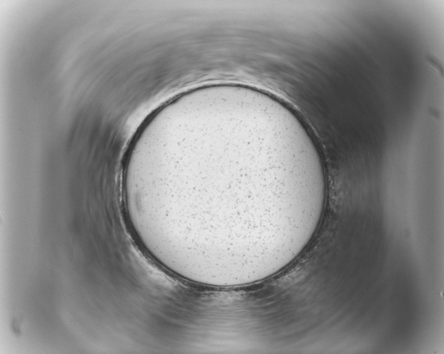 X0000103911519200810031201