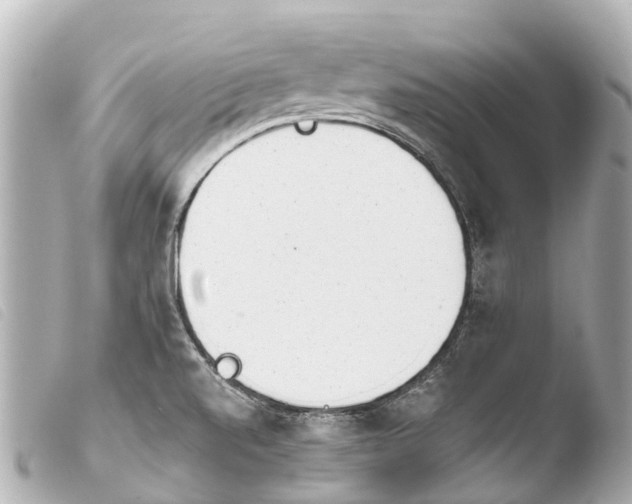 X0000103911520200810031201