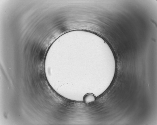 X0000103911521200810031201