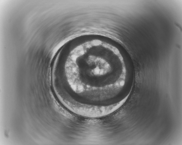 X0000103911522200810031201