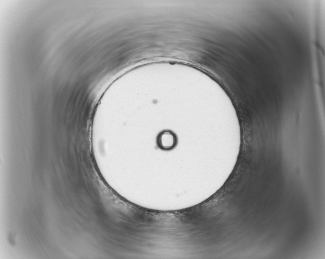 X0000103911524200810031201