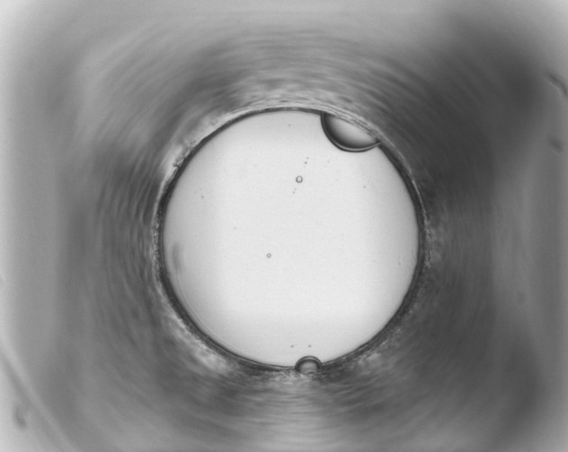 X0000103911525200810031201