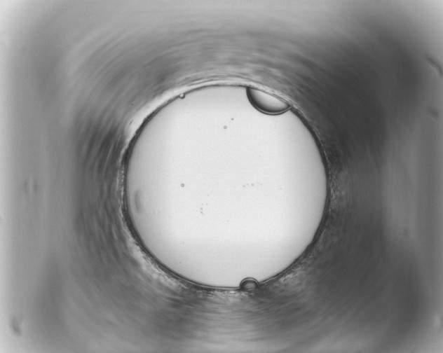 X0000103911526200810031201