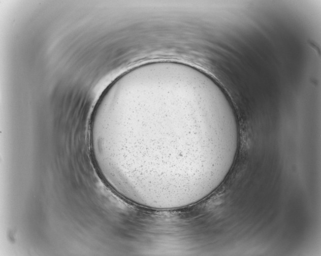 X0000103911527200810031201