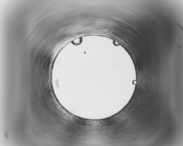 X0000103911528200810031201