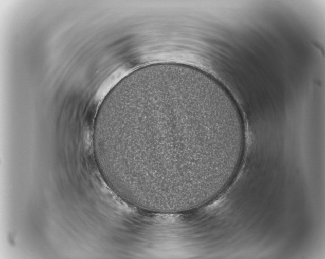 X0000103911529200810031201