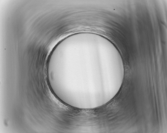 X0000103911531200810031201